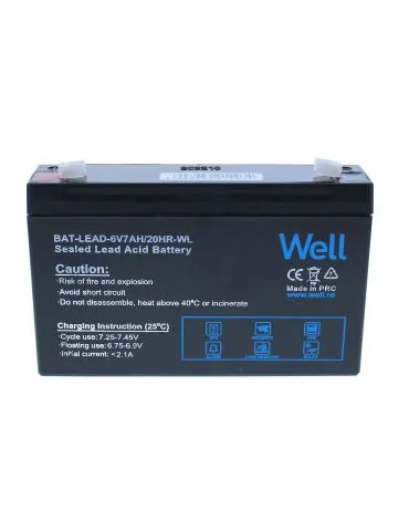 Acumulator plumb acid Well... - Tik.ro