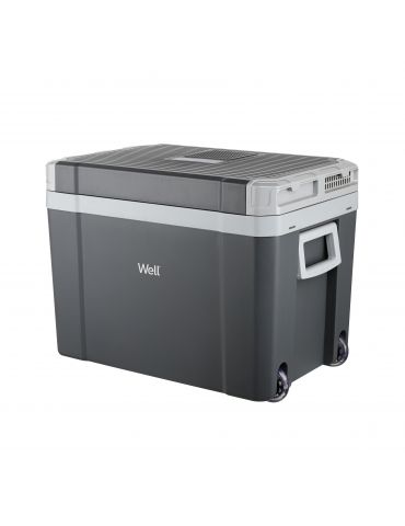 Lada frigorifica Well 40l,... - Tik.ro