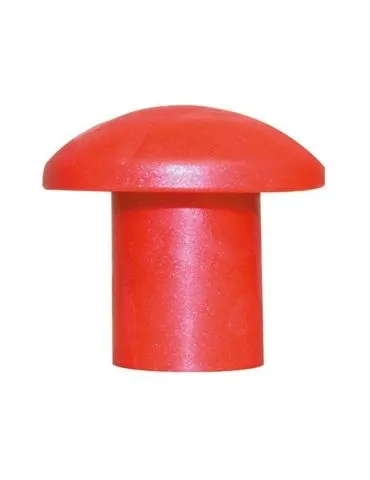 Capac protectie (ciuperca)... - Tik.ro