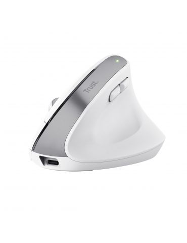 Trust Bayo+ mouse-uri Birou Mâna dreaptă RF Wireless + Bluetooth Optice 2400 DPI