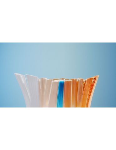 Philips Sonicare Premium All-in-One HX9092 88 Capete de periere pentru periuţa sonică