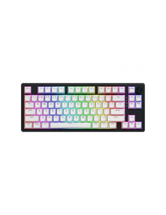 HATOR Skyfall 80 MAG ULTRA 8K tastaturi Gaming USB QWERTY Engleză SUA Negru, Alb