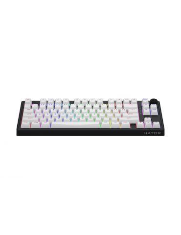 HATOR Skyfall 80 MAG ULTRA 8K tastaturi Gaming USB QWERTY Engleză SUA Negru, Alb