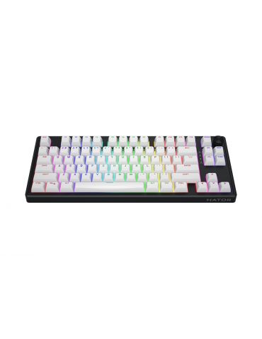 HATOR Skyfall 80 MAG ULTRA 8K tastaturi Gaming USB QWERTY Engleză SUA Negru, Alb