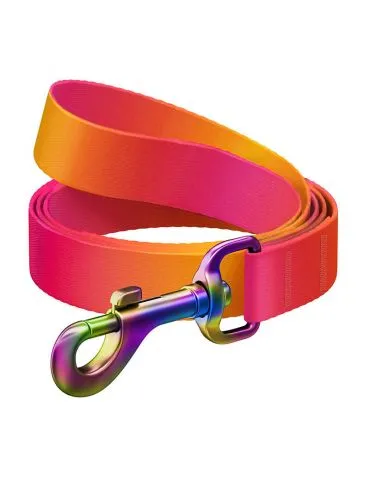 WAUDOG gradient nylon lesă... - Tik.ro