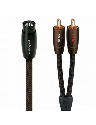 AUDHC-AQ-BIGSUR01.5DIN-RCA... - Tik.ro