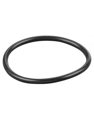REMS O-ring 060250 - Tik.ro