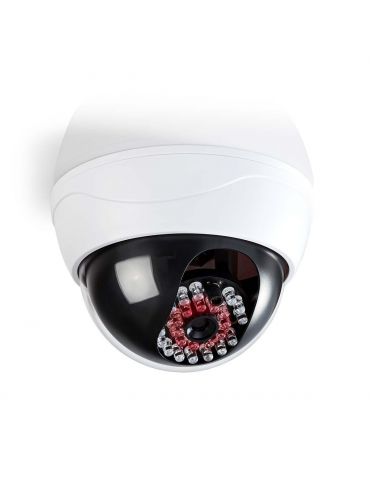 Camera de securitate falsa... - Tik.ro