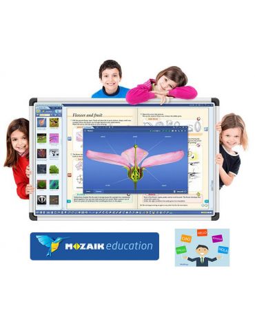 Software Mozabook MULTILANG... - Tik.ro