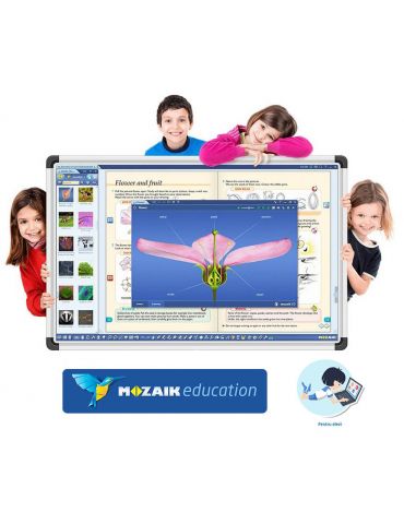 Software Mozaik Student ,... - Tik.ro