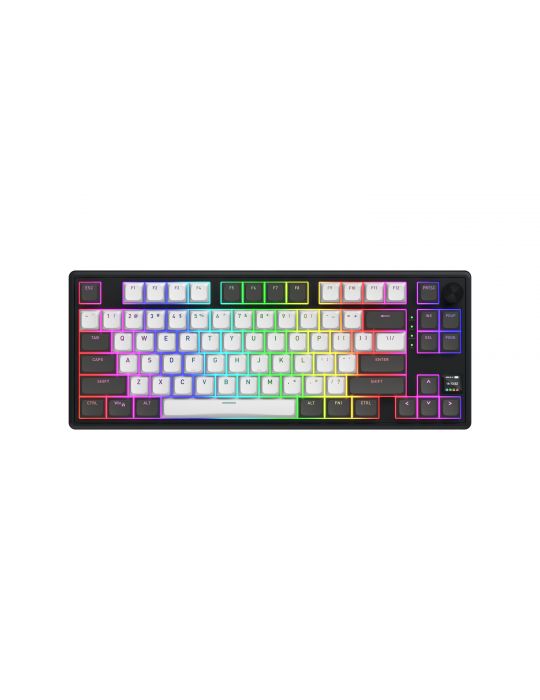 HATOR Skyfall Pro Wireless 80 tastaturi Gaming USB + RF Wireless + Bluetooth QWERTY Engleză SUA Negru, Gri