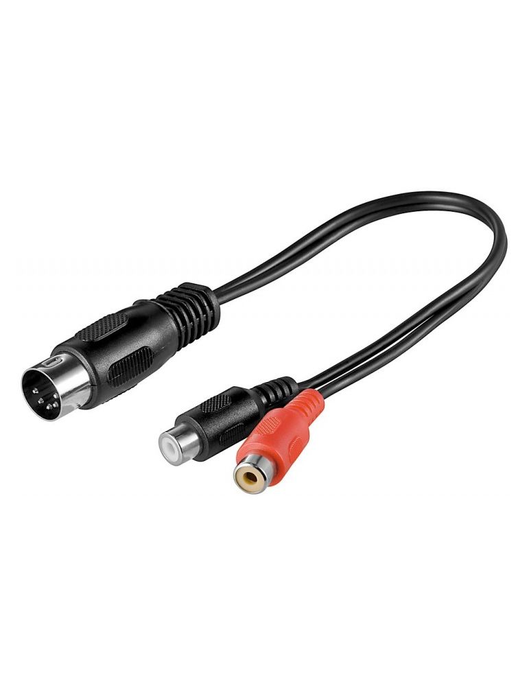 Cables Cablu adaptor DIN tata 180° (5-pin) > 2x RCA mama 0.2m, Goobay