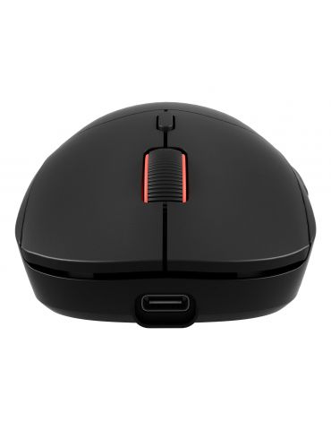 GENESIS Zircon XIII mouse-uri Gaming Ambidextru RF Wireless + USB Type-C Optice 26000 DPI