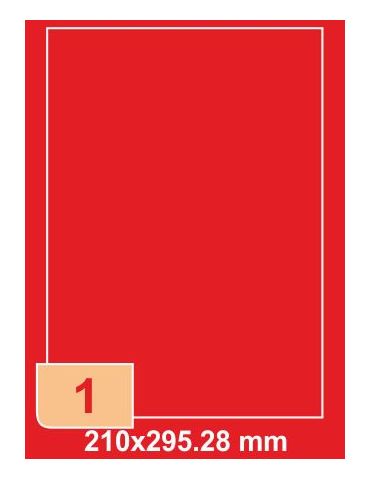 Etichete autoadezive albe... - Tik.ro