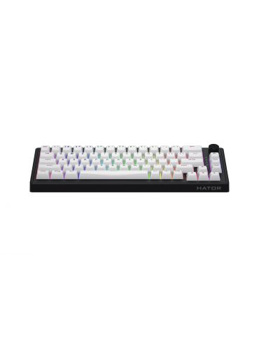 HATOR Skyfall 65 MAG ULTRA 8K tastaturi Gaming USB QWERTY Engleză SUA Negru, Alb