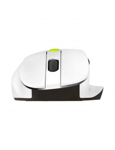 ASUS MD105 MOUSE VT-GN mouse-uri Universală Mâna dreaptă RF Wireless + Bluetooth 2400 DPI