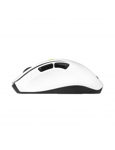 ASUS MD105 MOUSE VT-GN mouse-uri Universală Mâna dreaptă RF Wireless + Bluetooth 2400 DPI